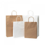 Paper Bag 200mm w x 290mm h Gusset 80mm